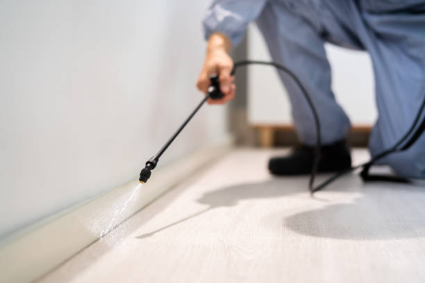Professional exterminator conducting IPM assessment in Sharon Center