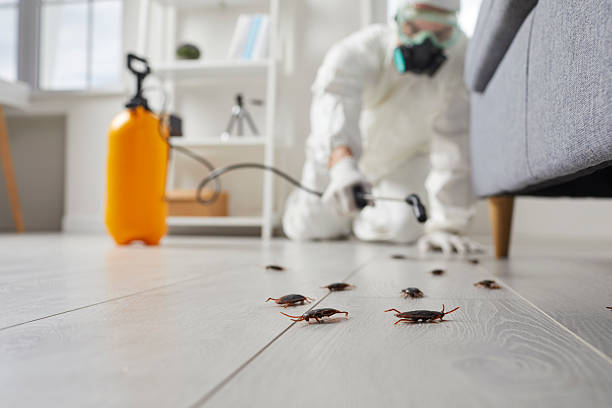 Commercial Kitchen Cockroach Control in Sharon Center